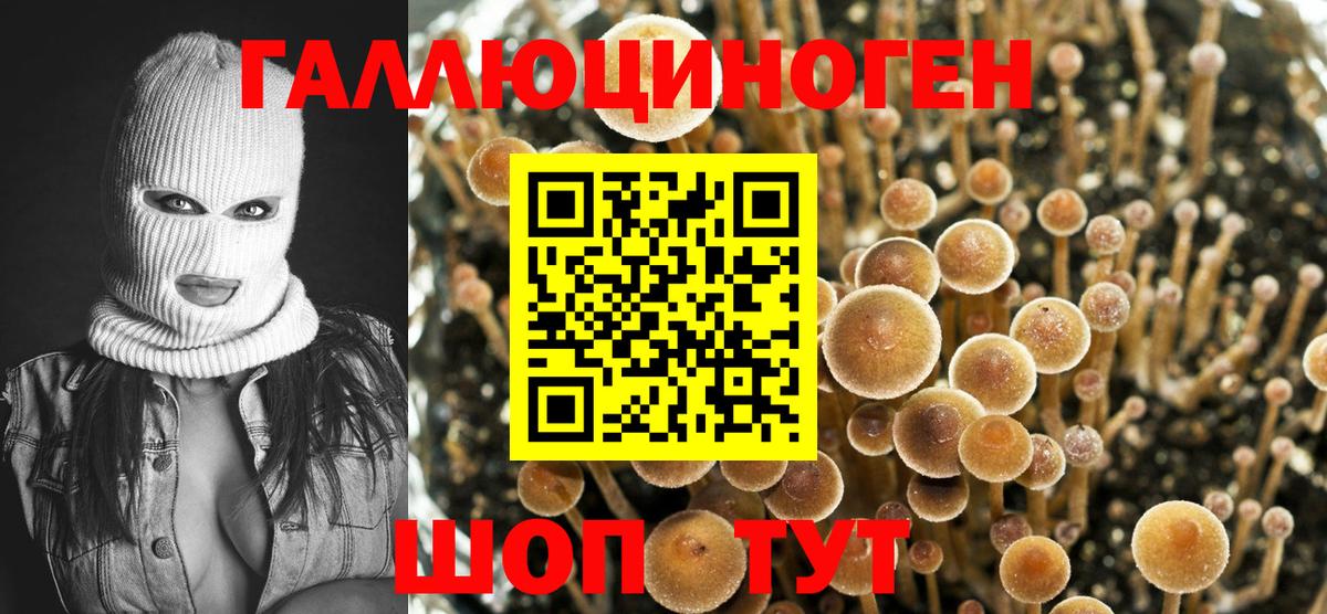 дарнет шоп  Галлюциногенные грибы мухоморы  Вход с VPN  Чебоксары 